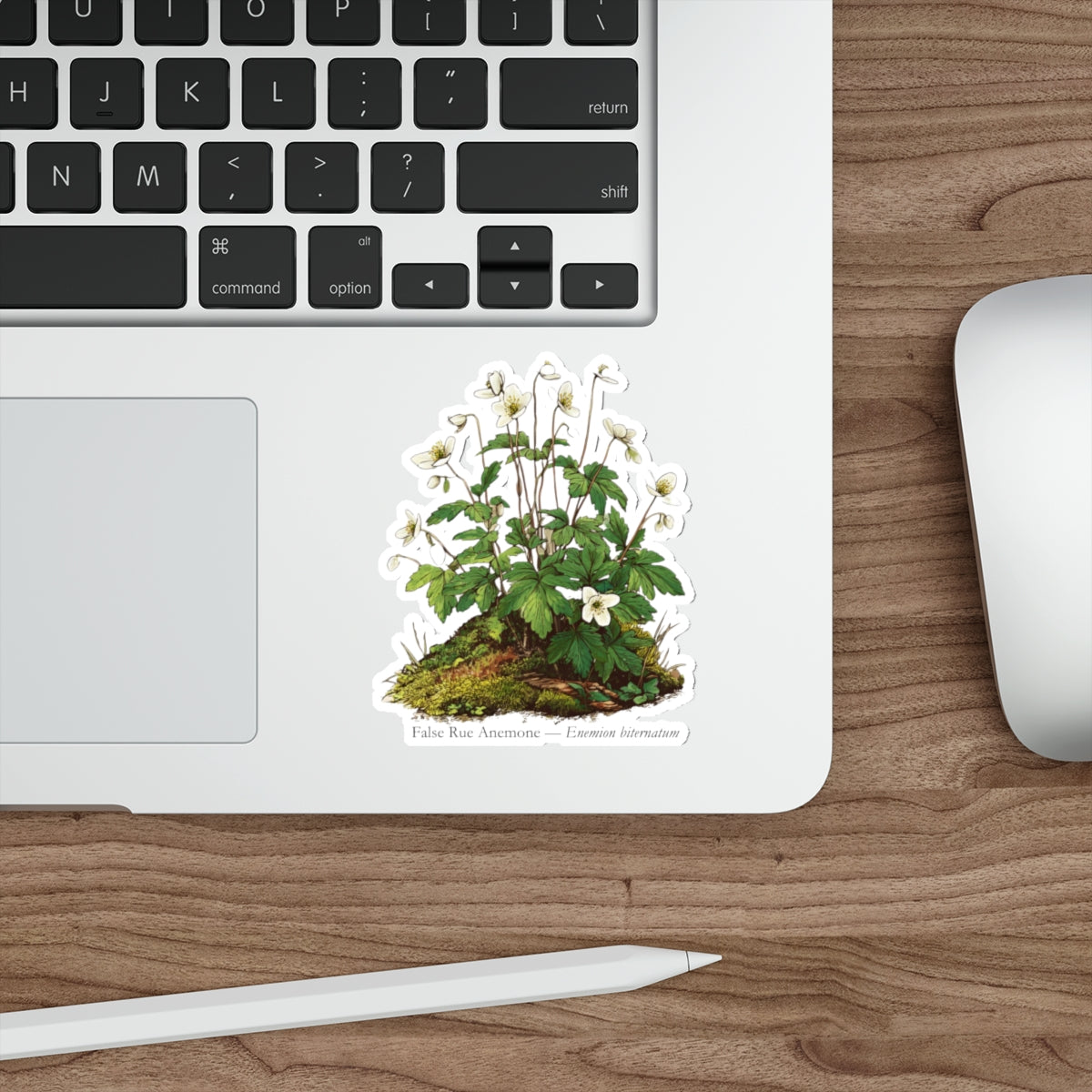 False Rue Anemone Spring Forager Decal