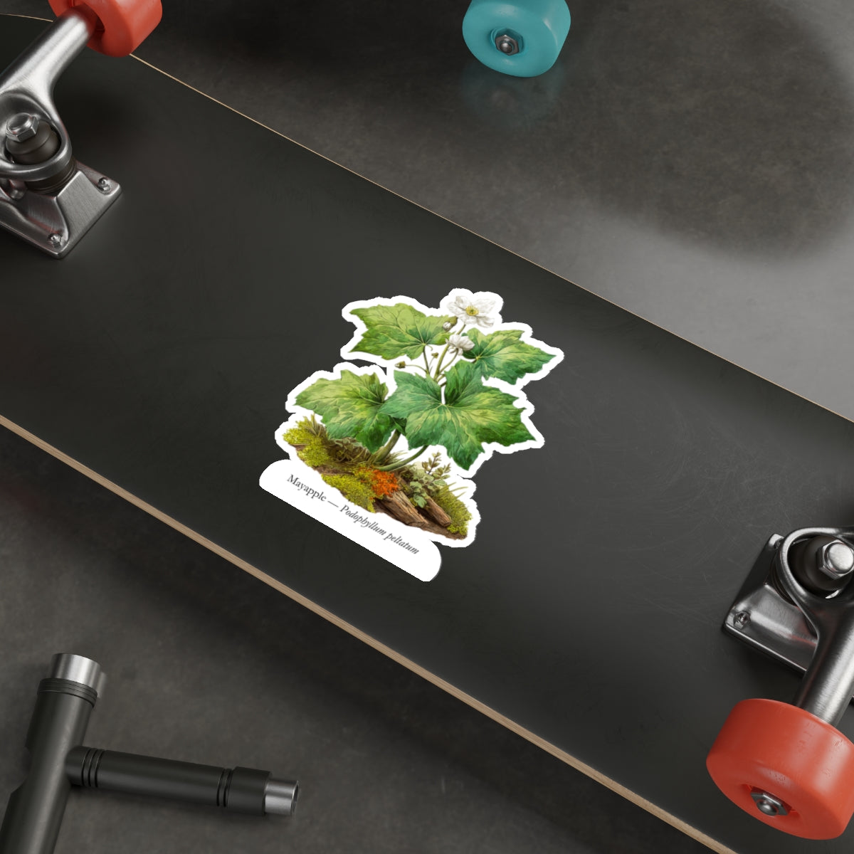 Mayapple Spring Woods Decal