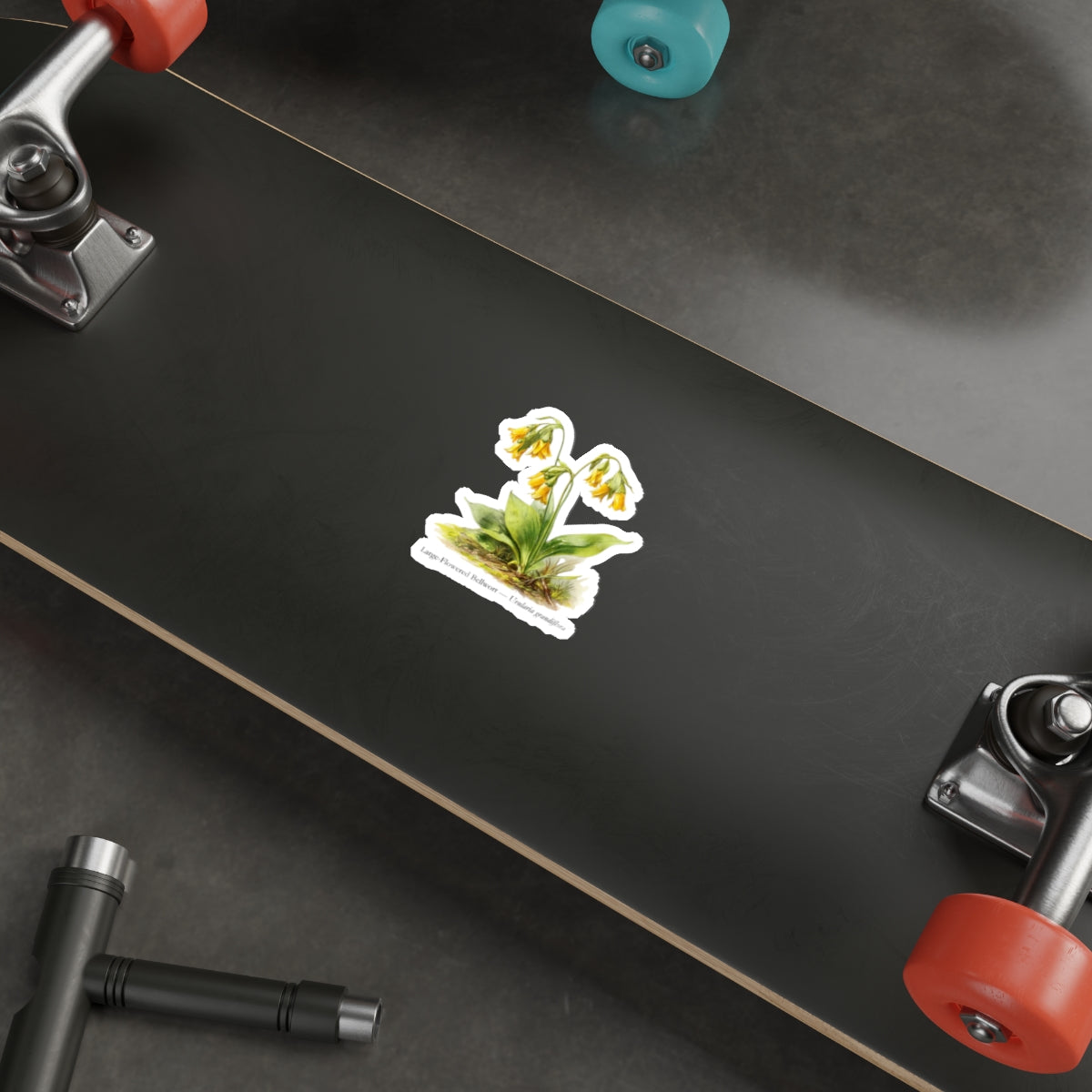 Large-Flowered Bellwort Wildflower Decal