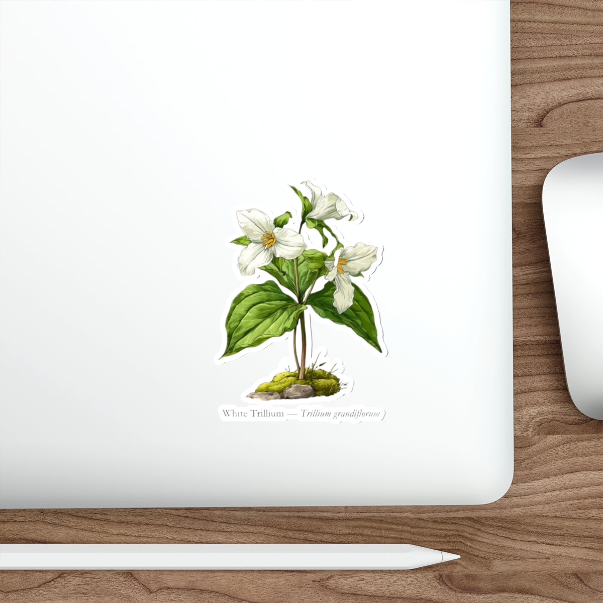 White Trillium Wildflower Decal