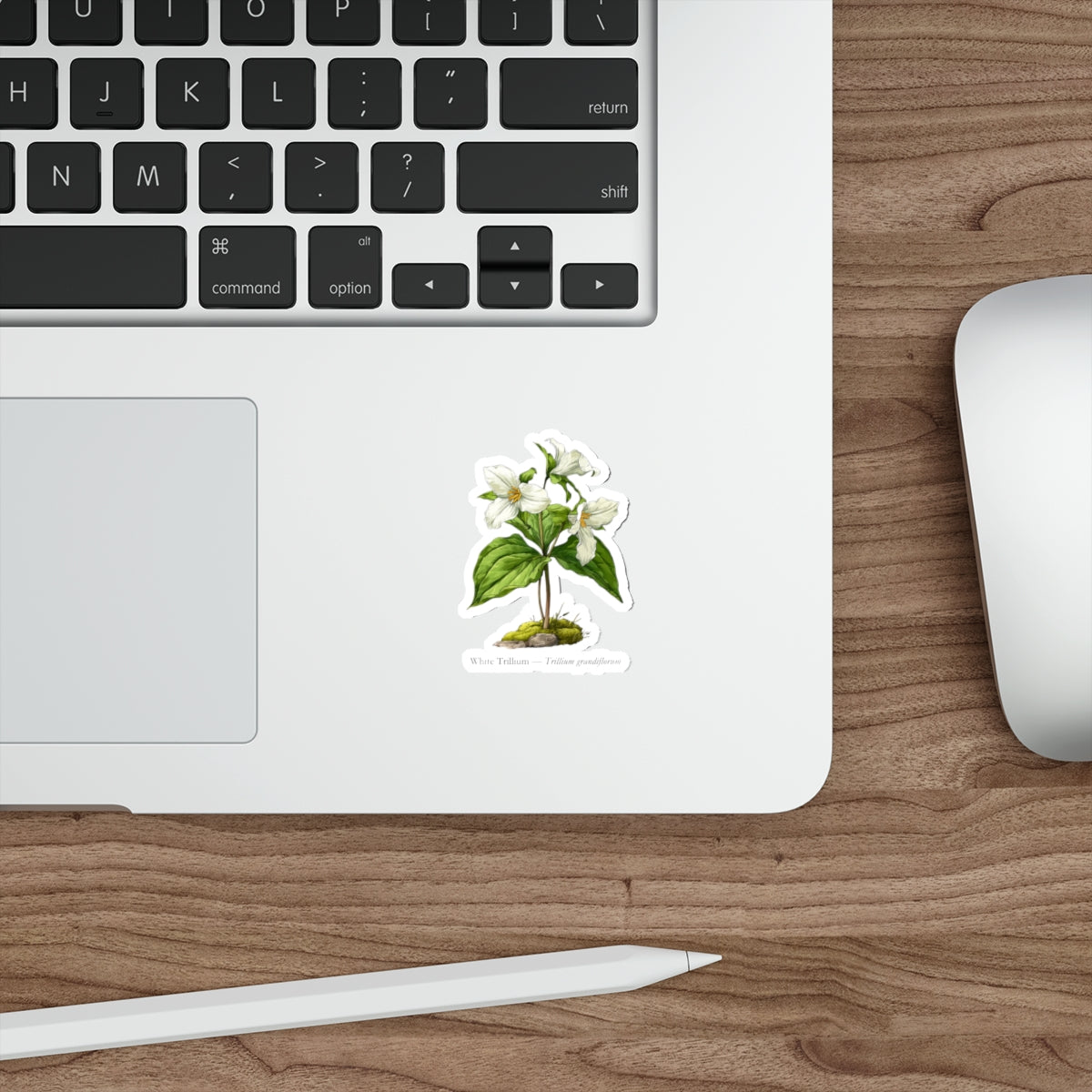 White Trillium Wildflower Decal