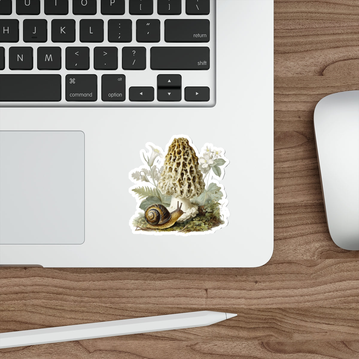 Broad-banded Forestsnail on Morel Mushroom Decal