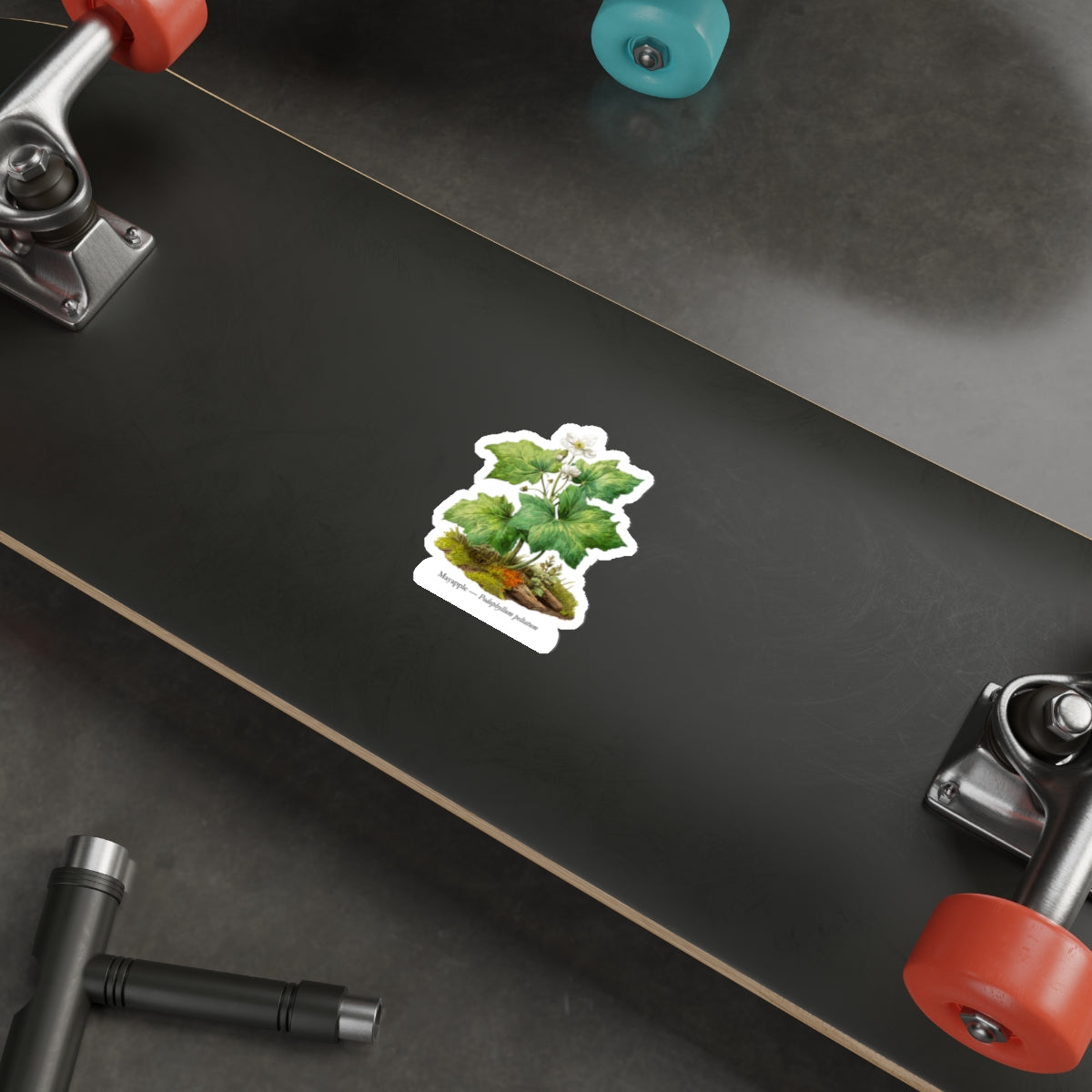 Mayapple Spring Woods Decal