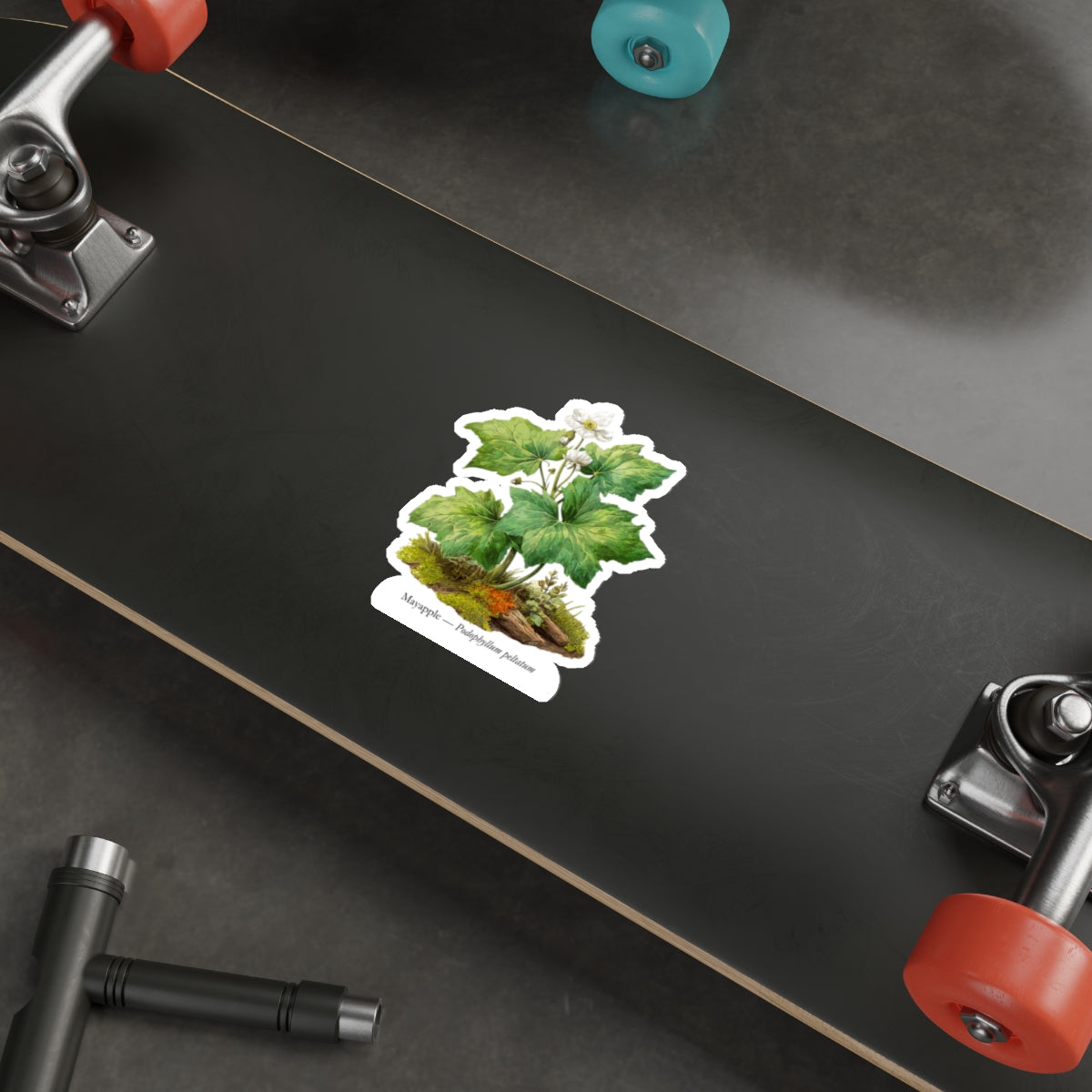 Mayapple Spring Woods Decal