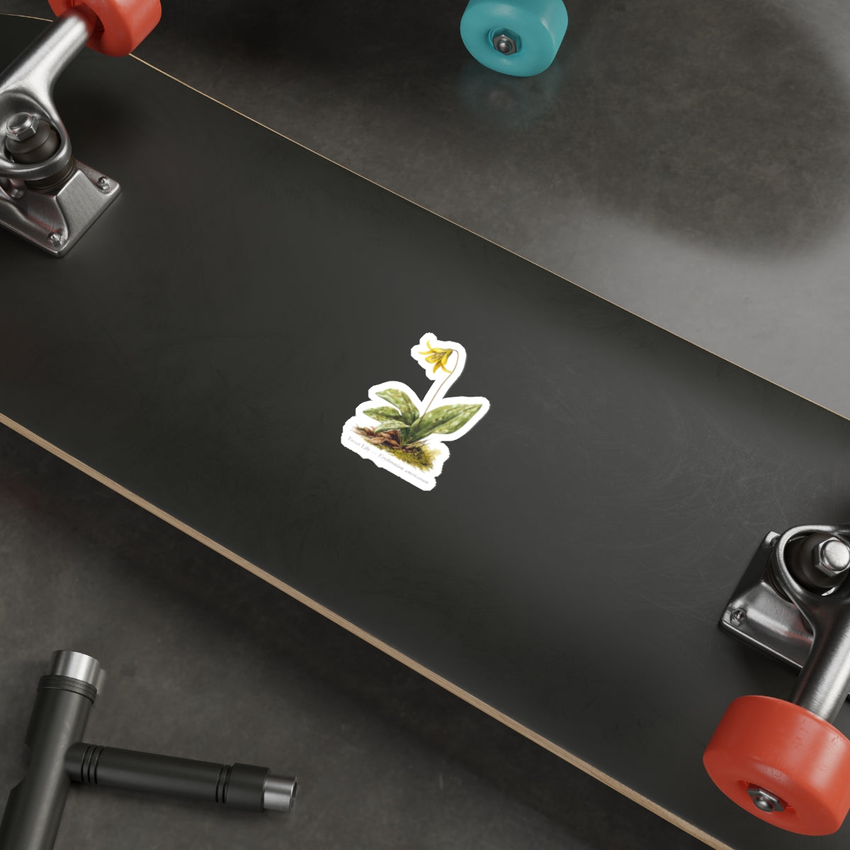 Trout Lily Spring Woods Decal