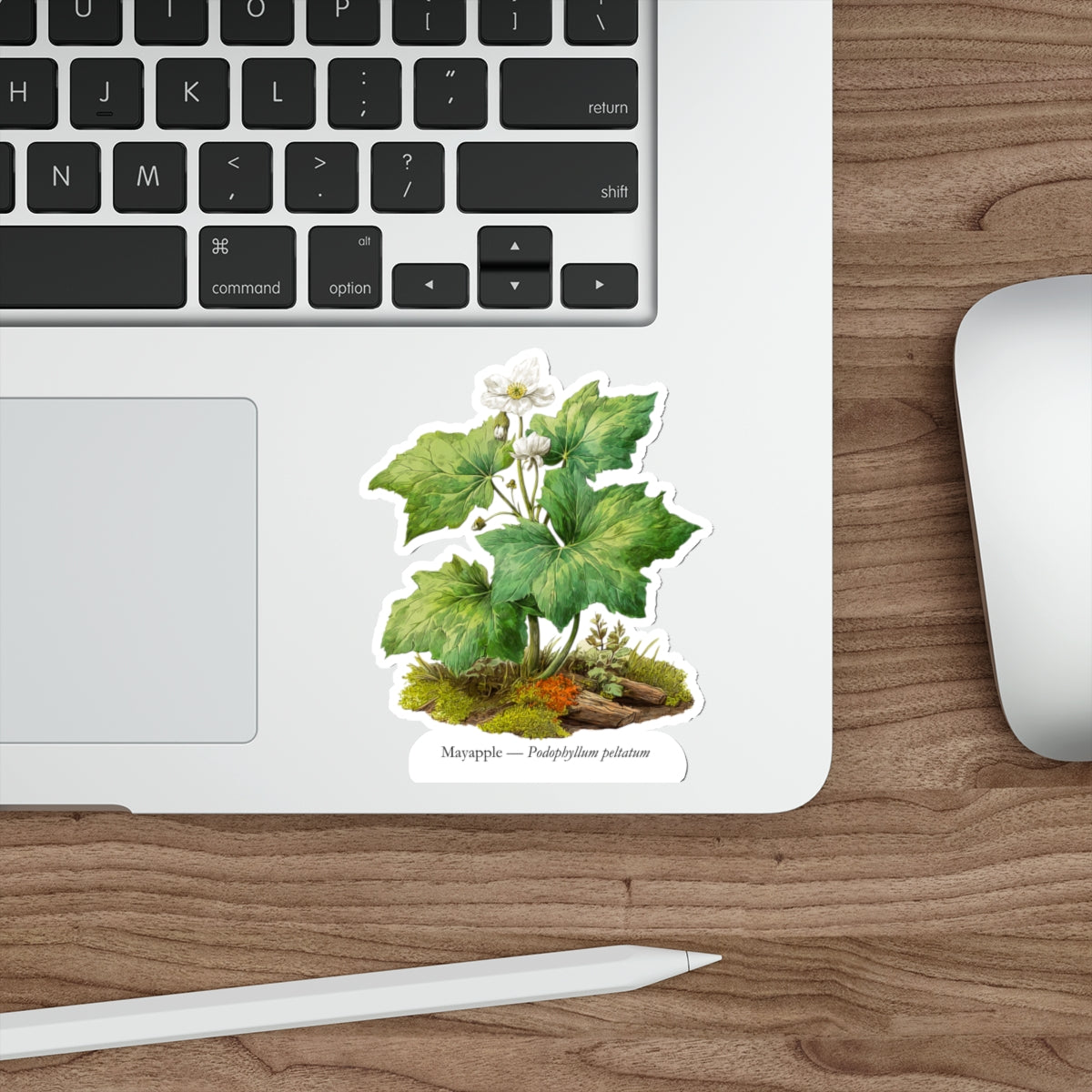 Mayapple Spring Woods Decal