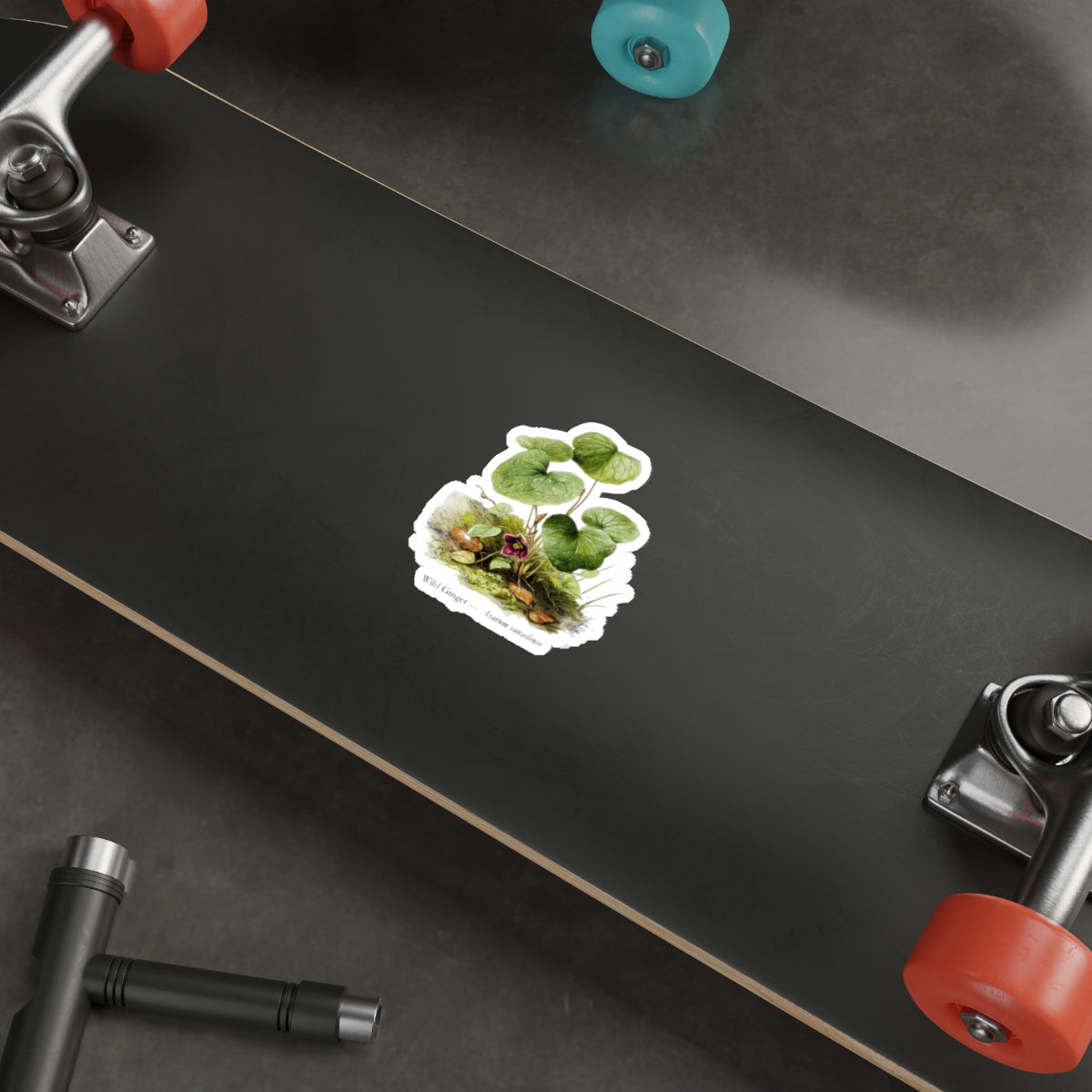 Wild Ginger Spring Woods Decal