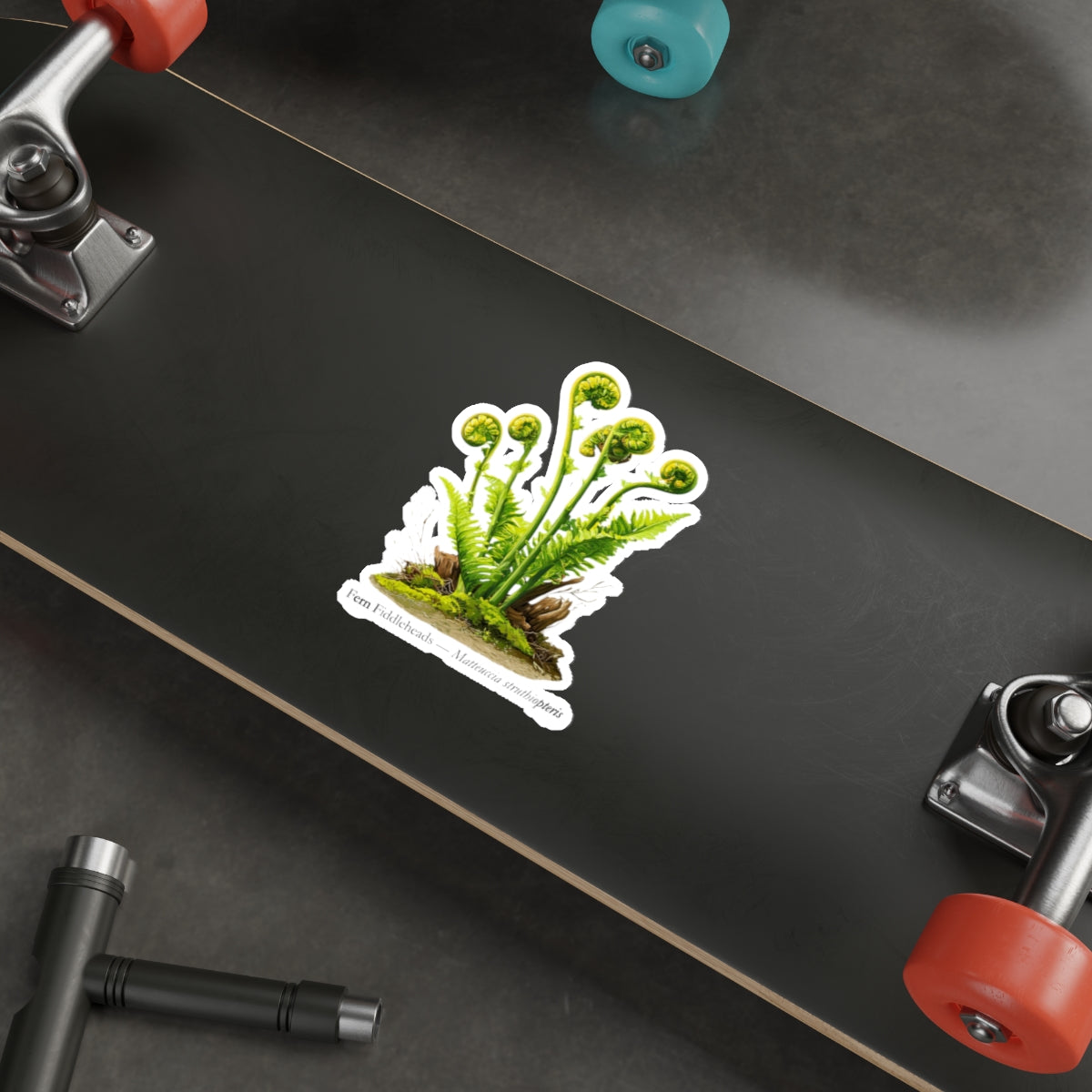 Fern Fiddleheads Forager Decal
