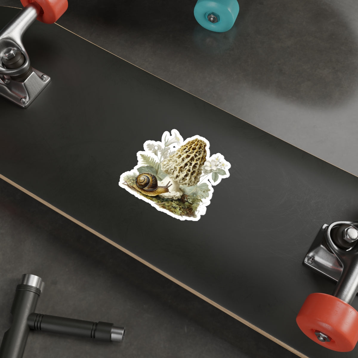 Broad-banded Forestsnail on Morel Mushroom Decal
