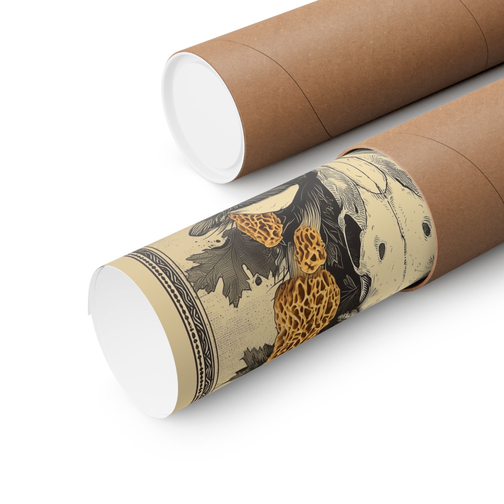 “Forest Rebirth” Morel Skull Art Print | Native Morels™