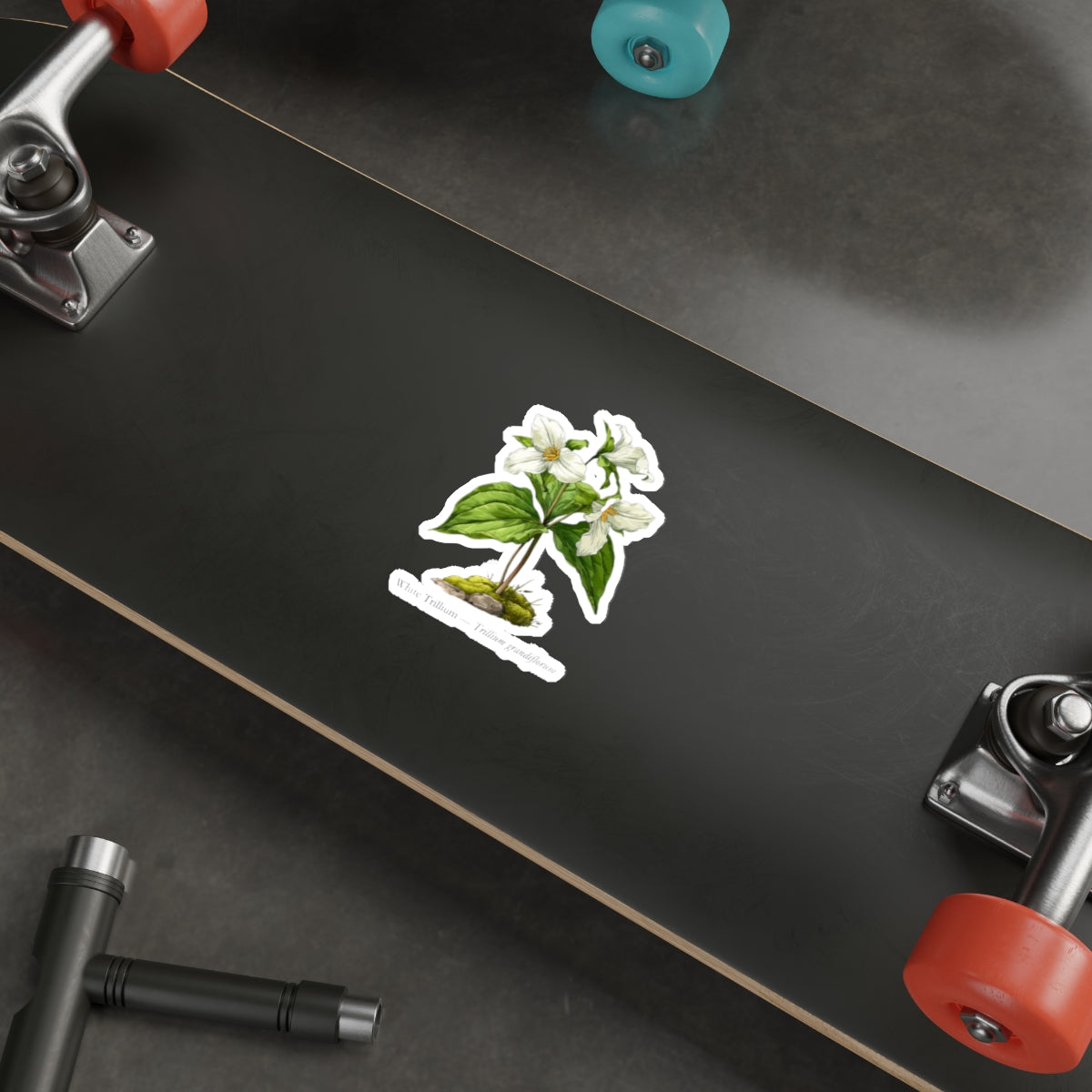 White Trillium Wildflower Decal