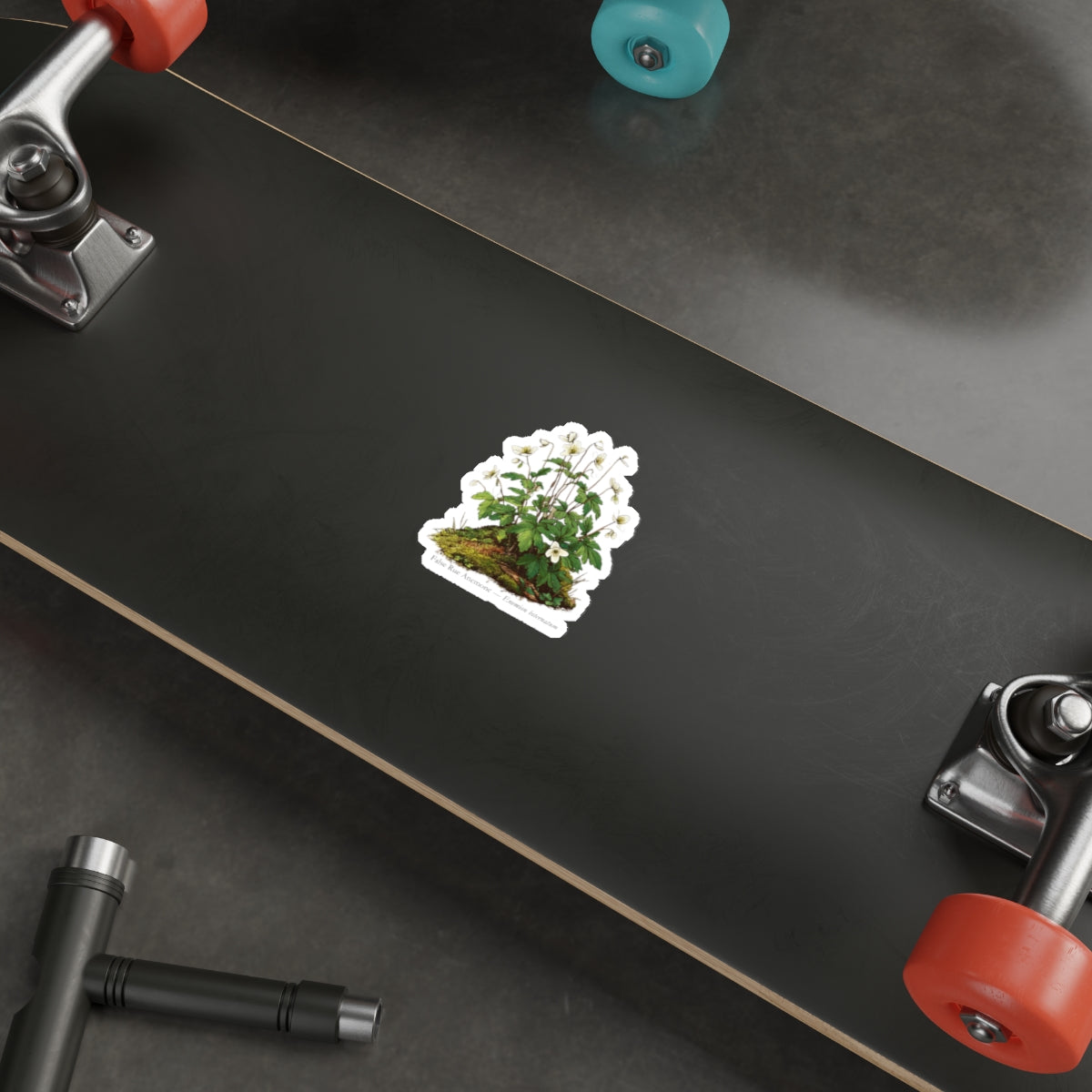 False Rue Anemone Spring Forager Decal