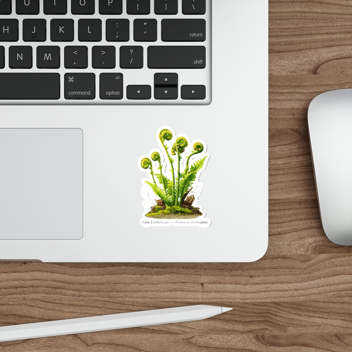 Fern Fiddleheads Forager Decal