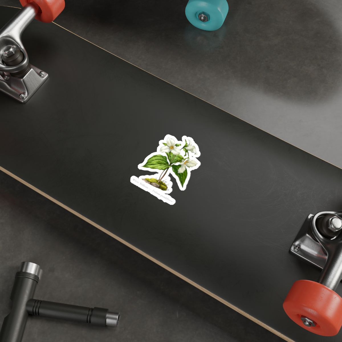 White Trillium Wildflower Decal