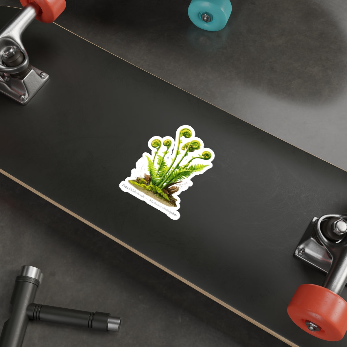 Fern Fiddleheads Forager Decal