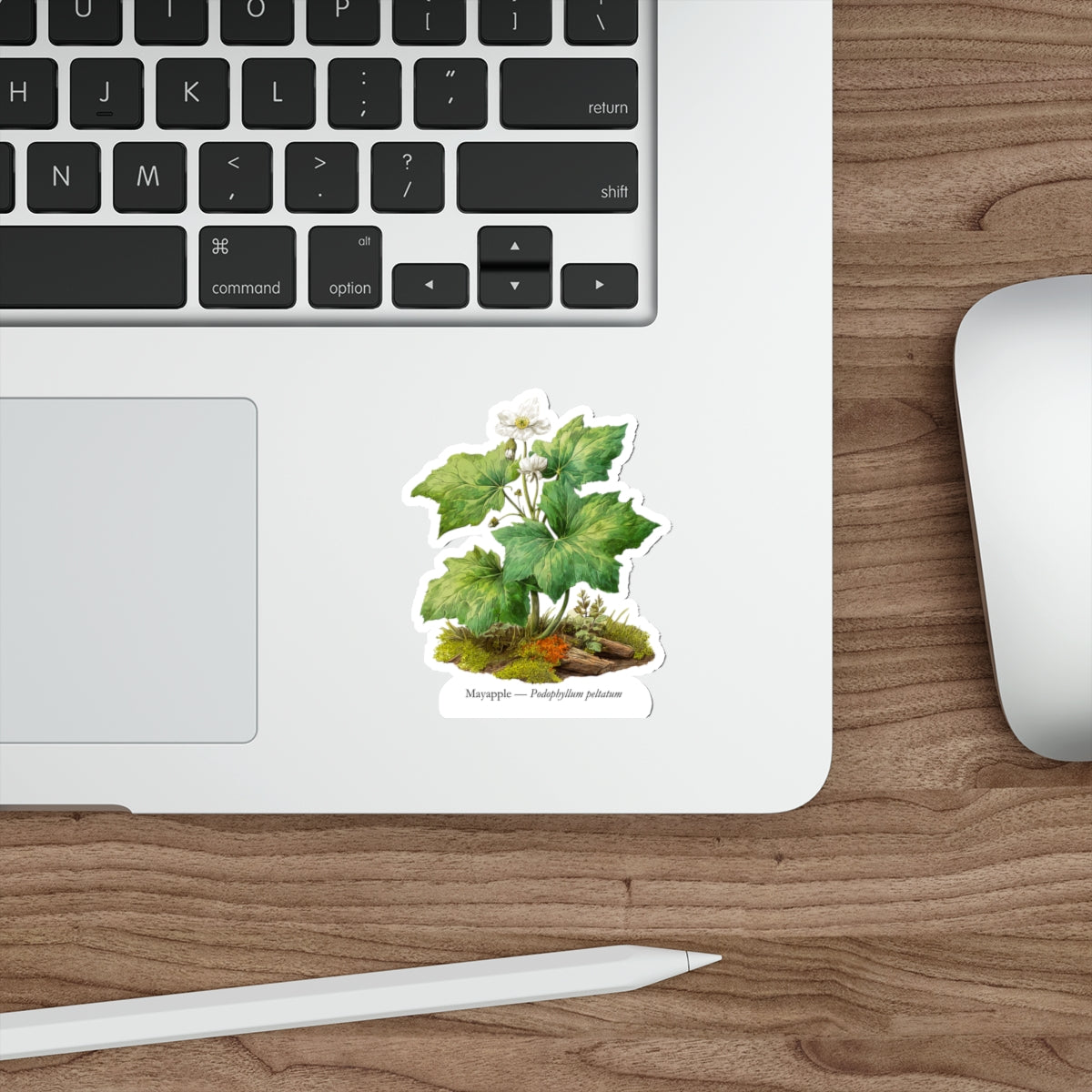 Mayapple Spring Woods Decal