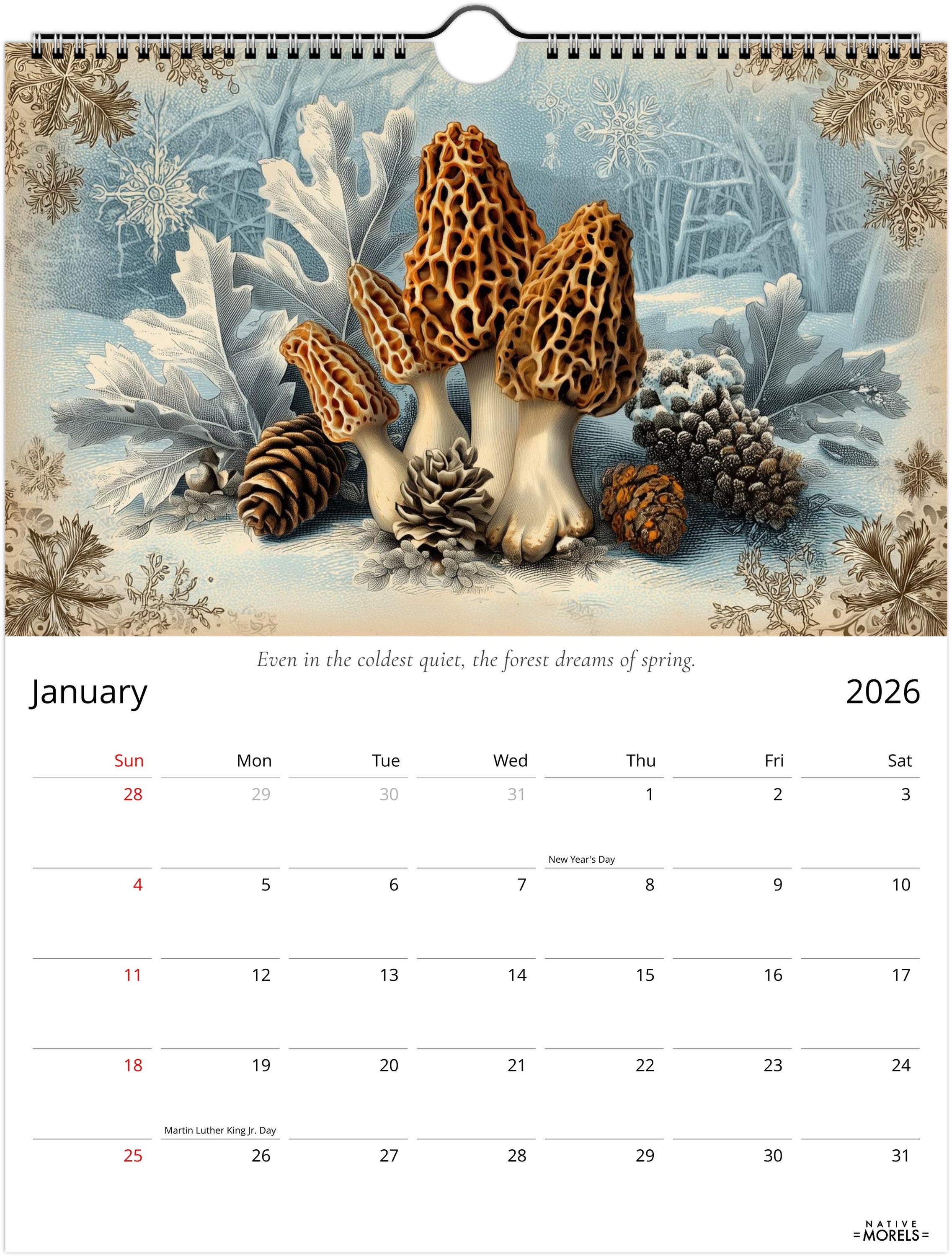Native Morels™ 2026 Botanical Wall Calendar | Seasonal Forager Art Series