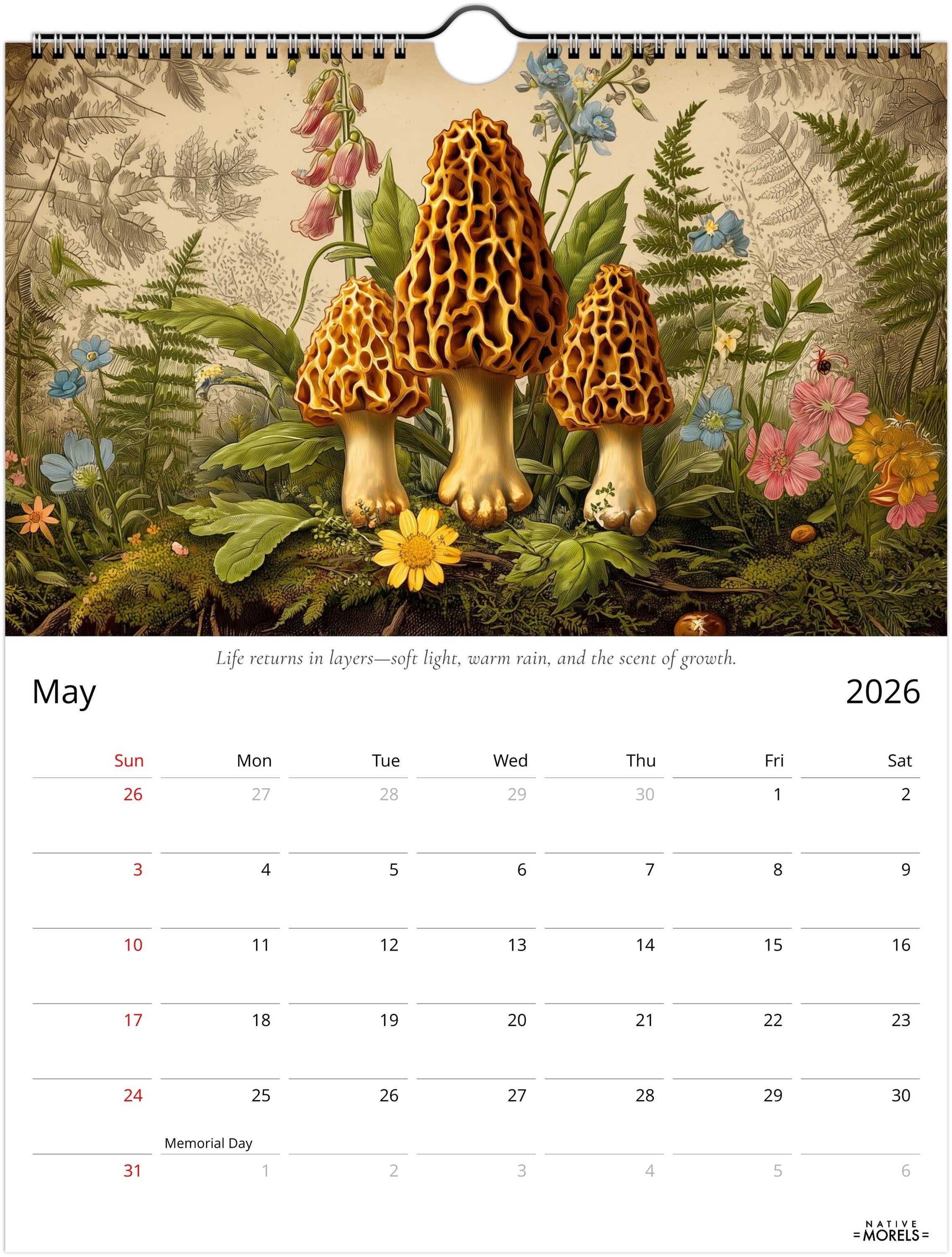 Native Morels™ 2026 Botanical Wall Calendar | Seasonal Forager Art Series