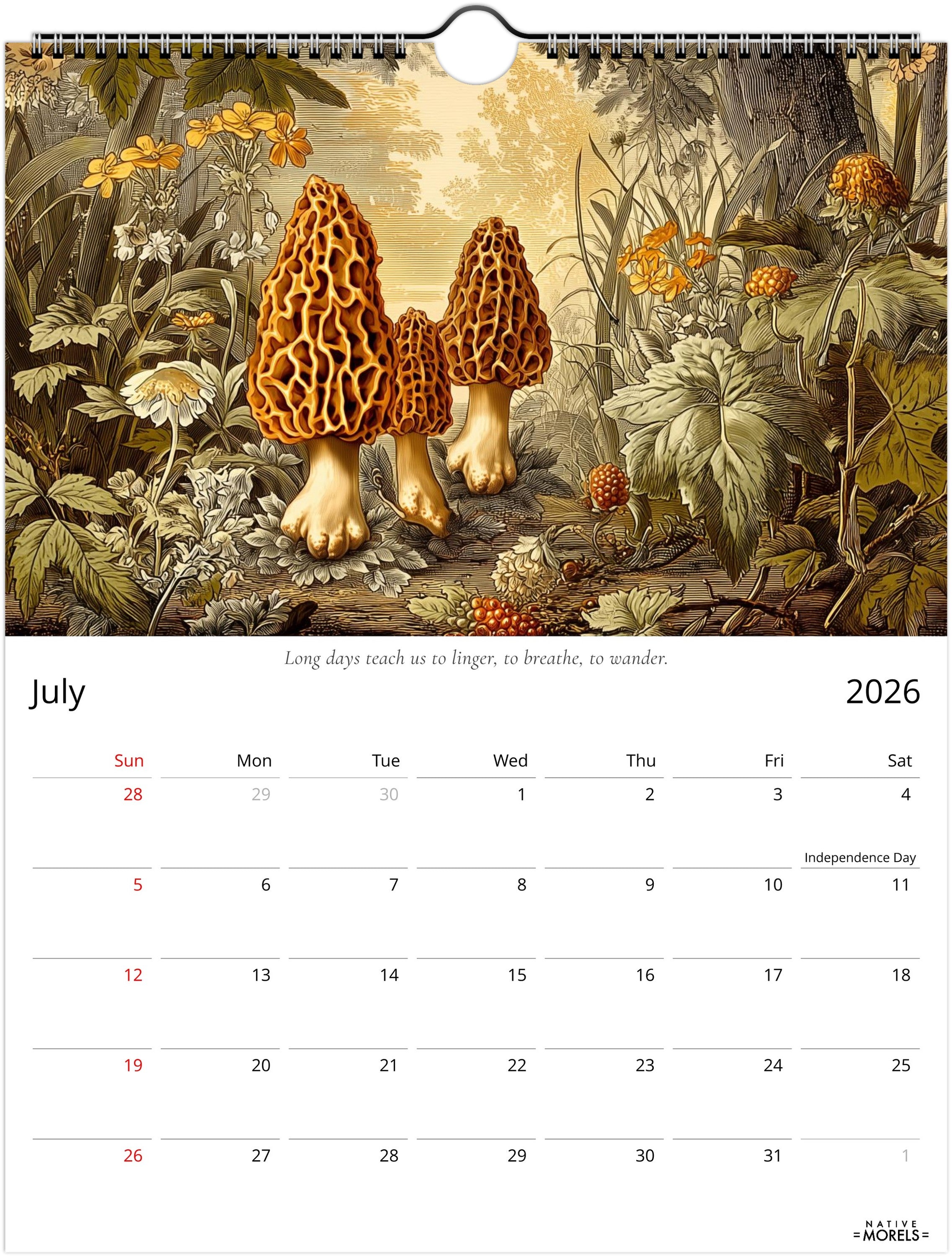Native Morels™ 2026 Botanical Wall Calendar | Seasonal Forager Art Series