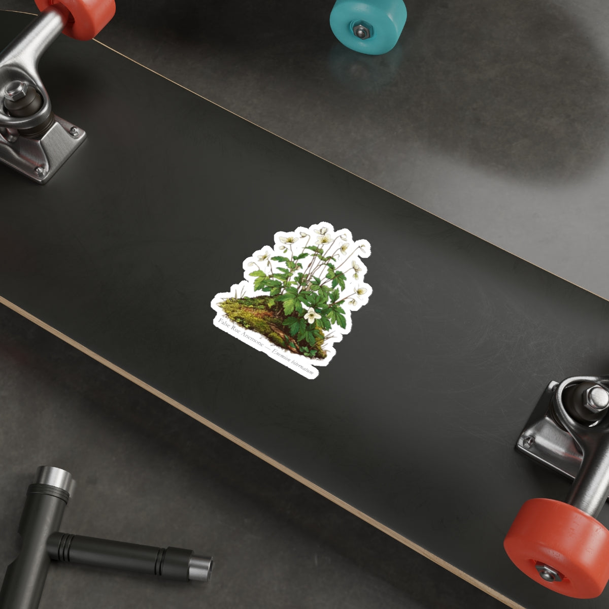False Rue Anemone Spring Forager Decal