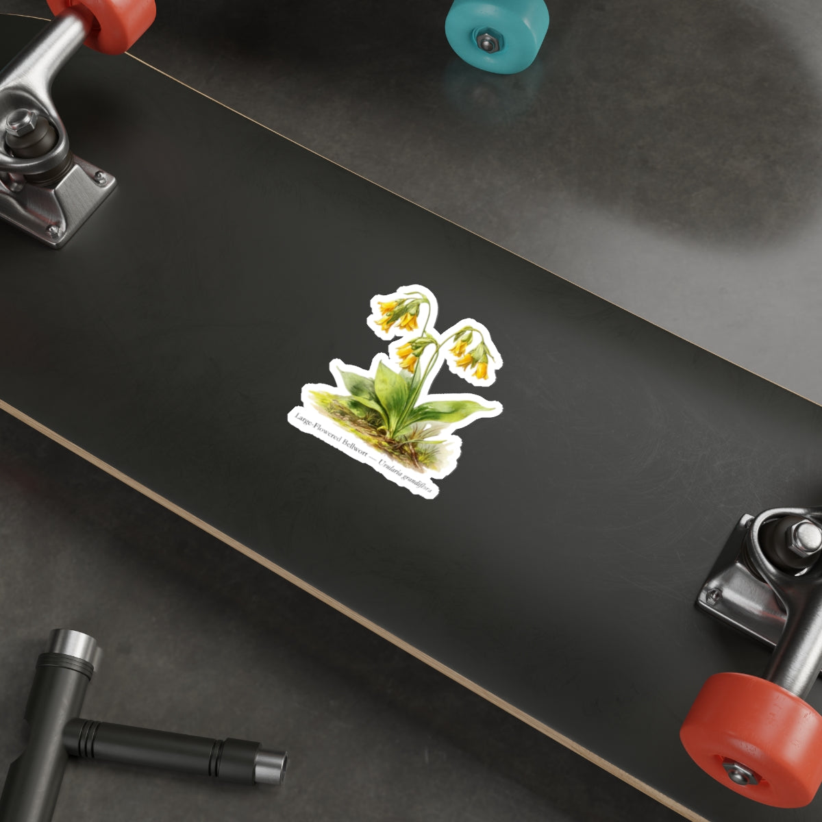 Large-Flowered Bellwort Wildflower Decal