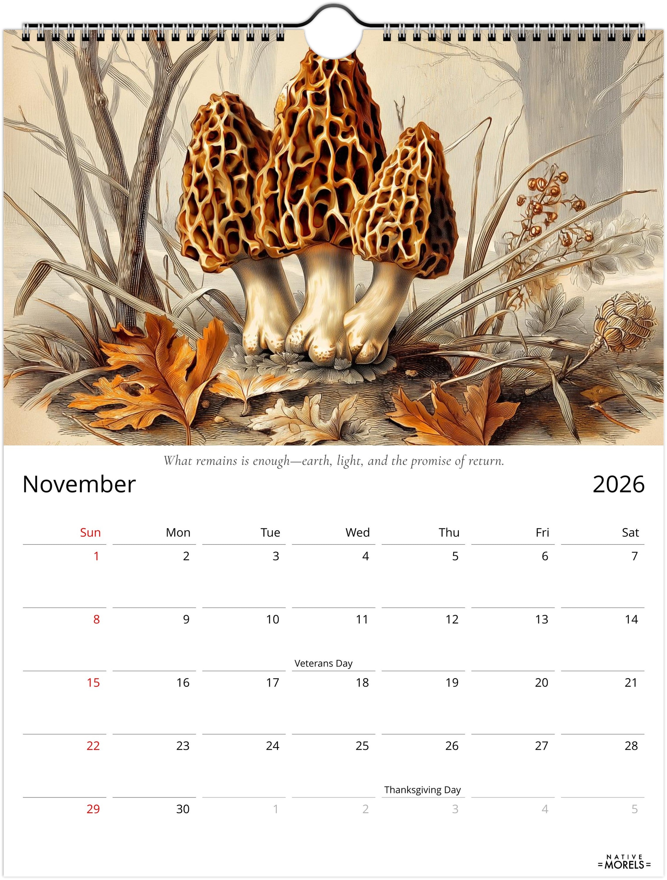 Native Morels™ 2026 Botanical Wall Calendar | Seasonal Forager Art Series