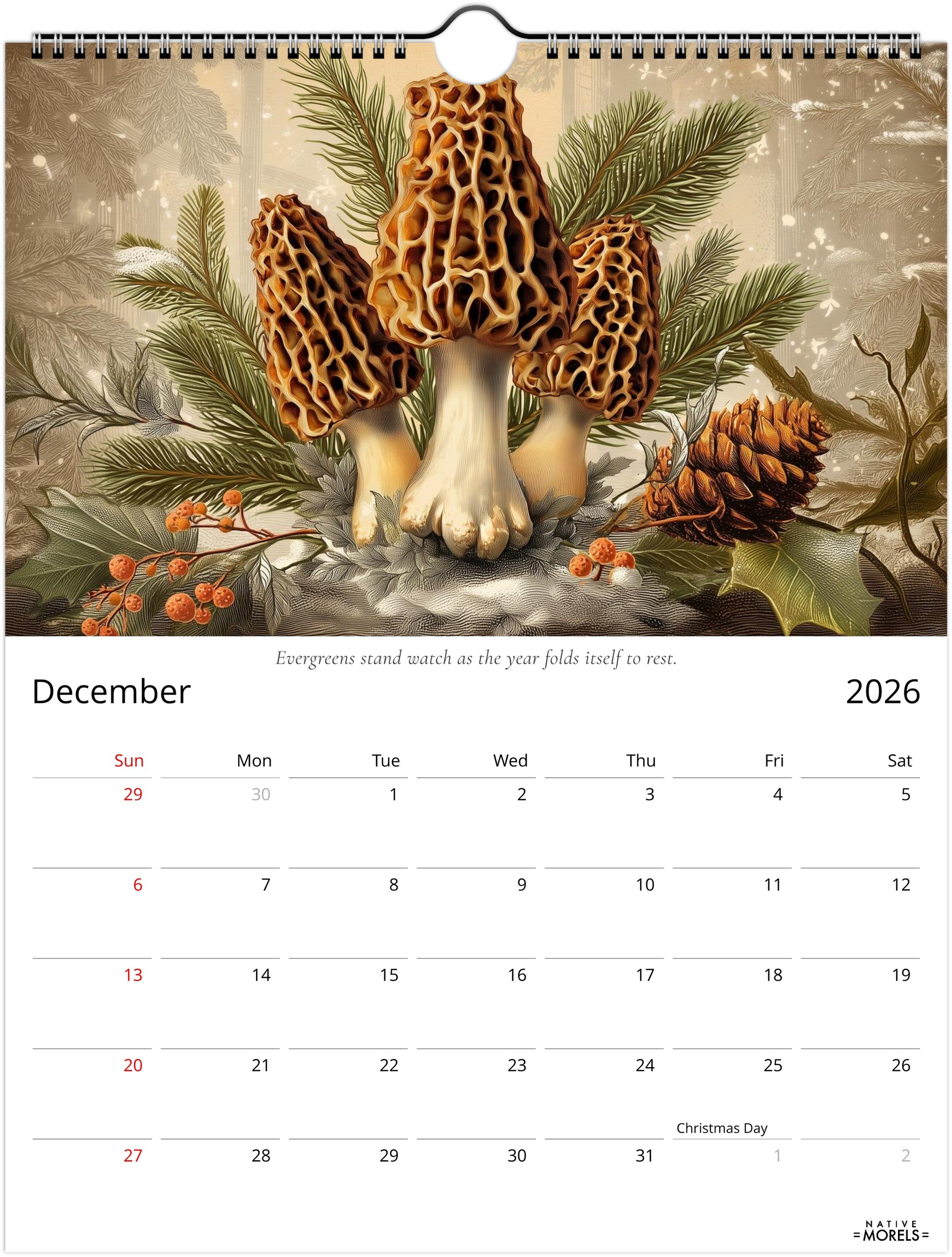 Native Morels™ 2026 Botanical Wall Calendar | Seasonal Forager Art Series