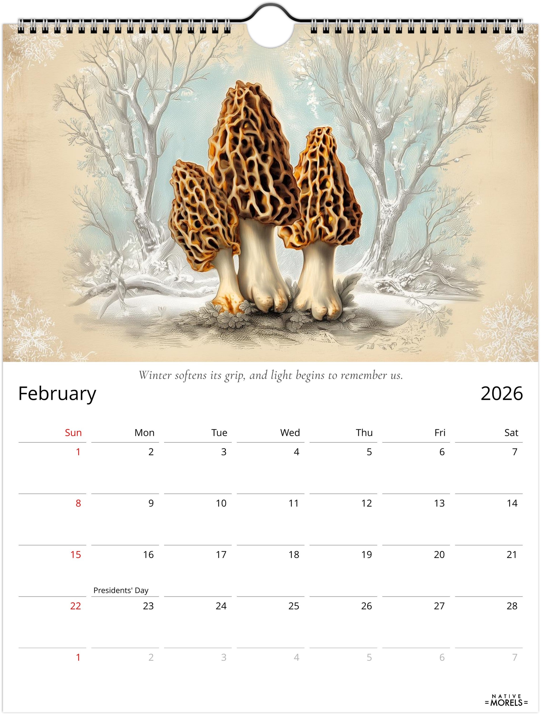 Native Morels™ 2026 Botanical Wall Calendar | Seasonal Forager Art Series