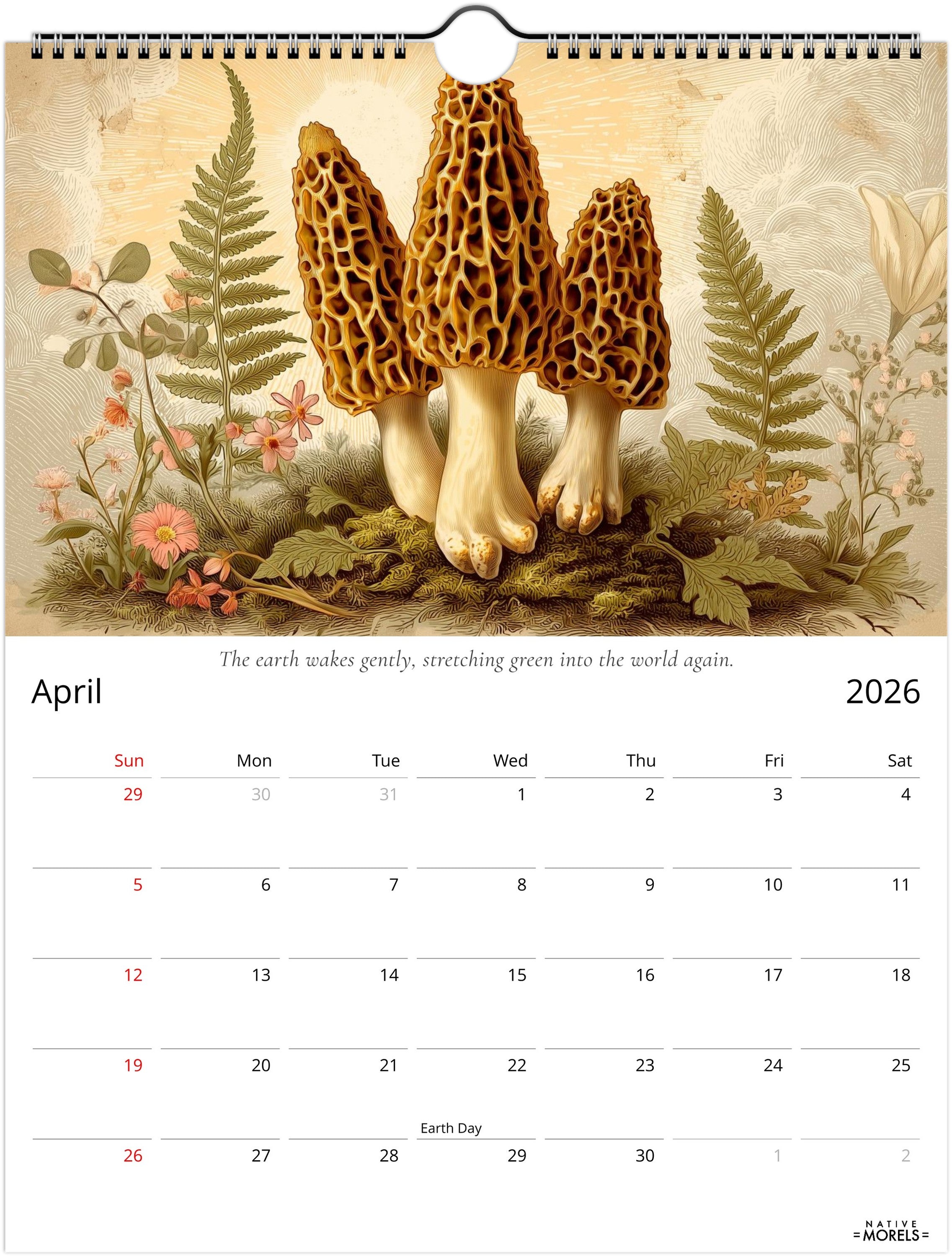 Native Morels™ 2026 Botanical Wall Calendar | Seasonal Forager Art Series