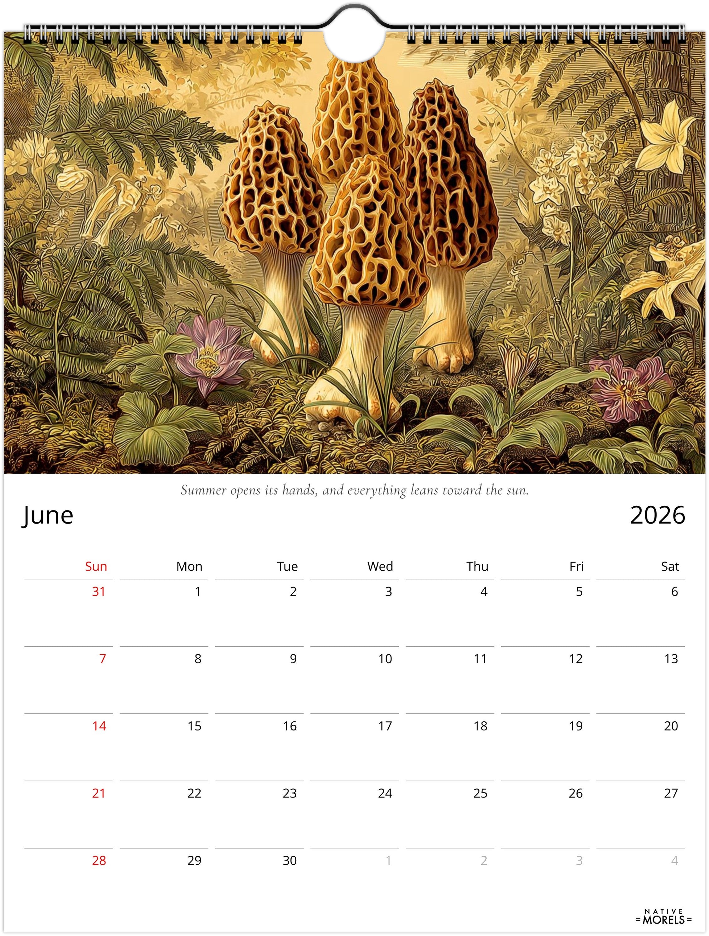 Native Morels™ 2026 Botanical Wall Calendar | Seasonal Forager Art Series