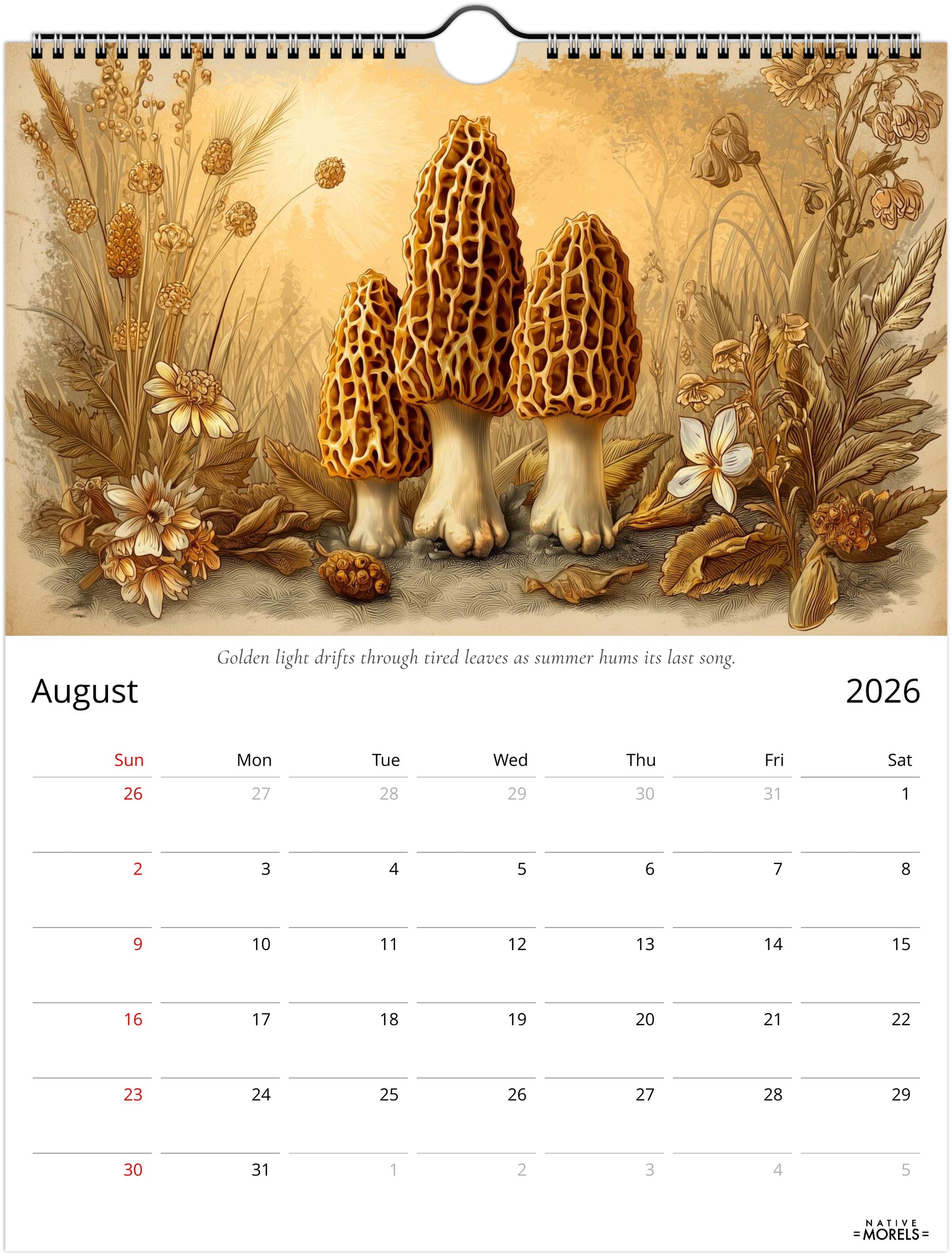 Native Morels™ 2026 Botanical Wall Calendar | Seasonal Forager Art Series