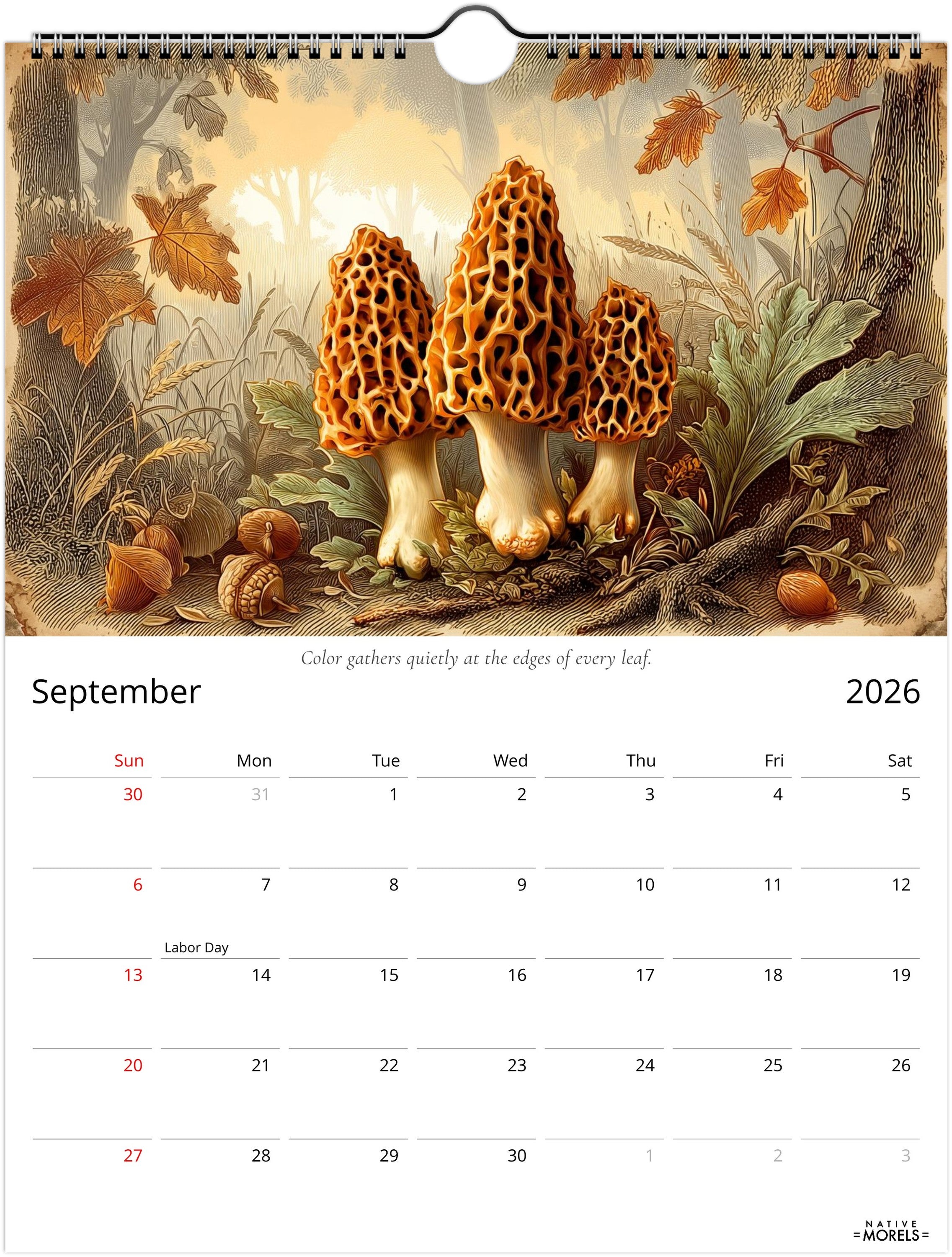 Native Morels™ 2026 Botanical Wall Calendar | Seasonal Forager Art Series