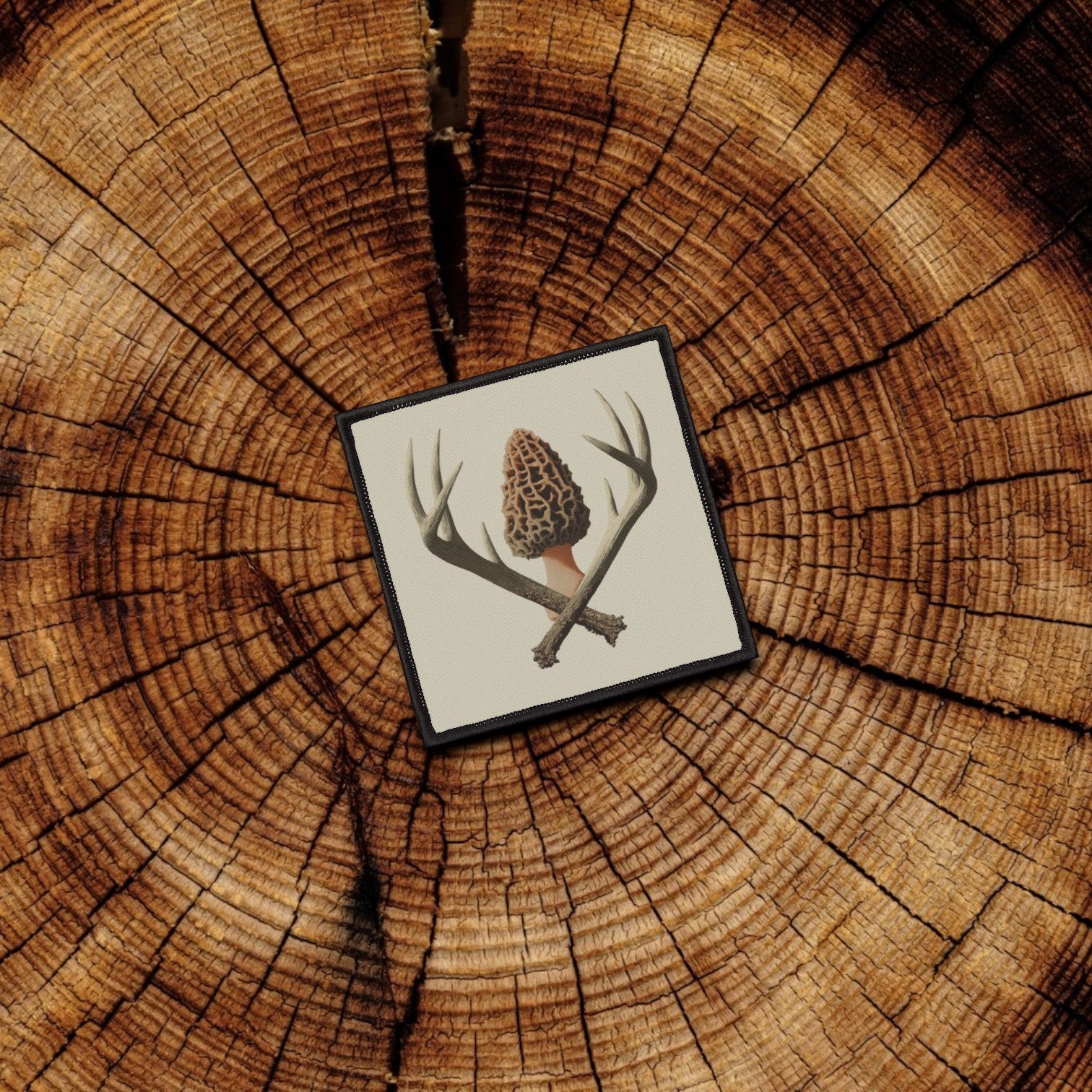 Framed artwork of a mushroom and antlers on a wooden surface